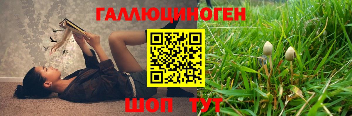 Бийск  Галлюциногенные грибы GOLDEN TEACHER  Вход с VPN  Псилоцибиновые грибы MAGIC MUSHROOMS 